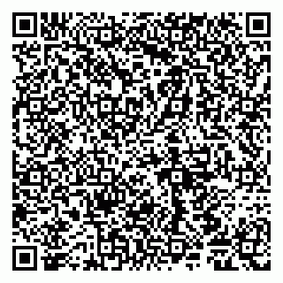 vCard 79065003300