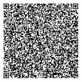 vCard 79065188888
