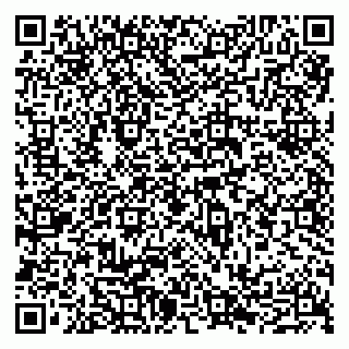 vCard 79065490036