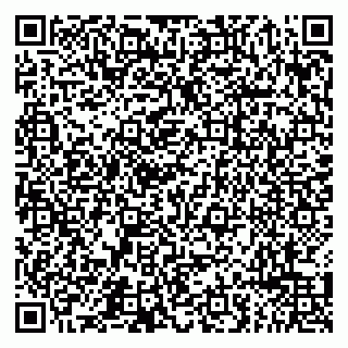 vCard 79065490100