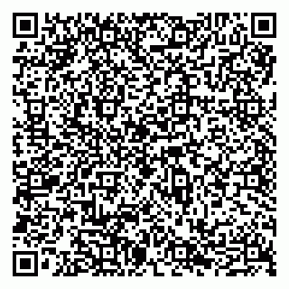 vCard 79065490308