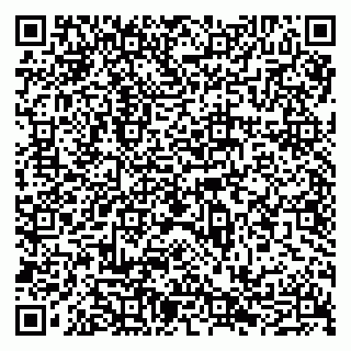 vCard 79065490313