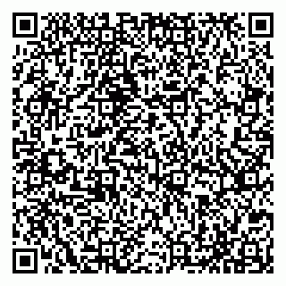 vCard 79065490378