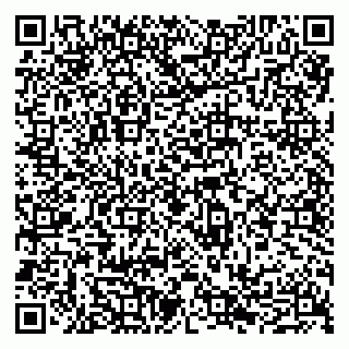 vCard 79065490383