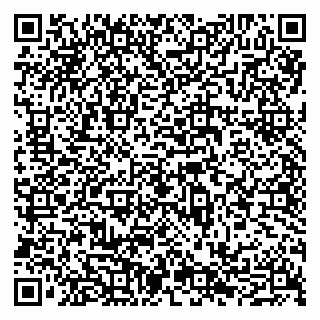 vCard 79065490384