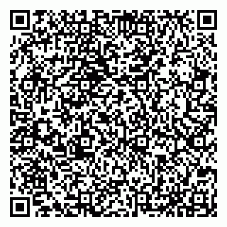 vCard 79065559713