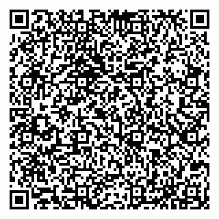 vCard 79065559714