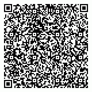 vCard 79065559751