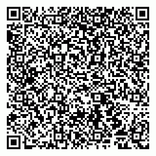 vCard 79065559873