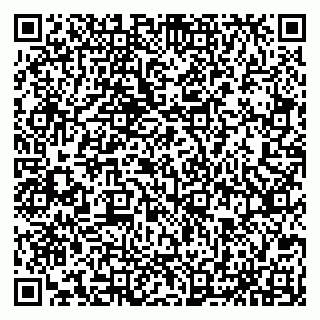 vCard 79065559874