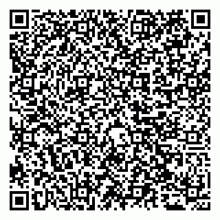 vCard 79065559880