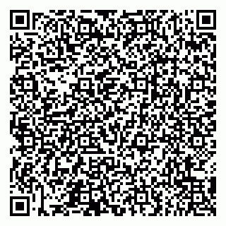 vCard 79065559883