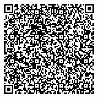 vCard 79065559913