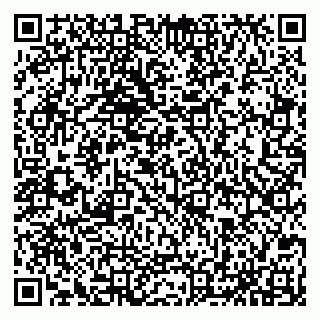 vCard 79065559921