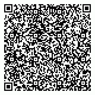 vCard 79065559923