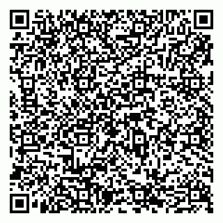 vCard 79065559960