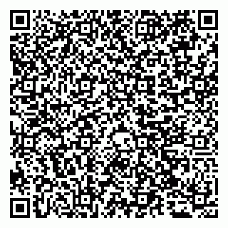 vCard 79065559985