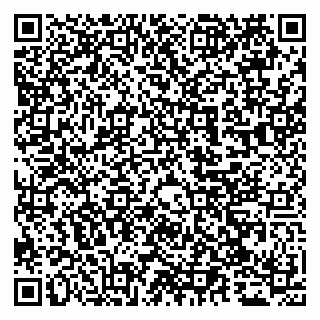 vCard 79065559993