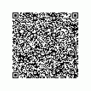 vCard 79065560000