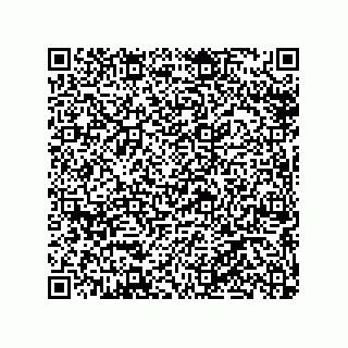vCard 79065560003