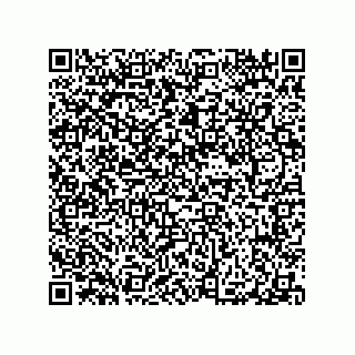 vCard 79065560005