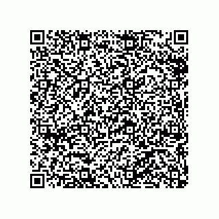 vCard 79065560013