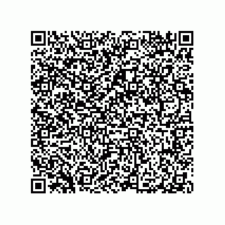 vCard 79065560087