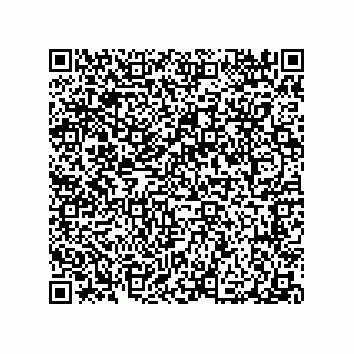 vCard 79065560093