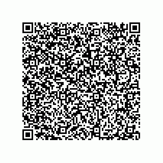vCard 79065560205
