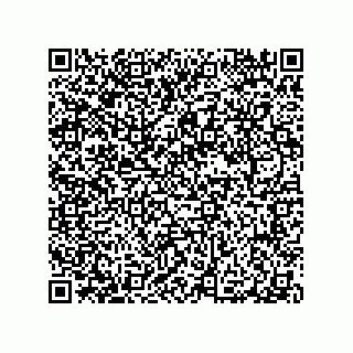 vCard 79065560207