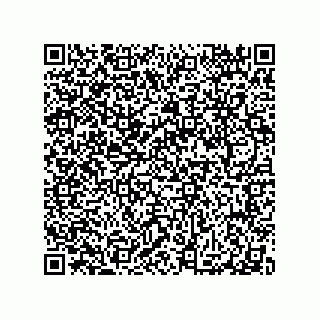 vCard 79065560274