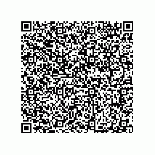 vCard 79065560285