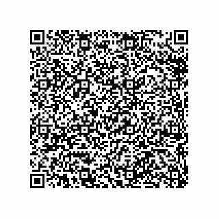 vCard 79065560295