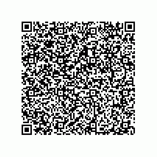 vCard 79065560313