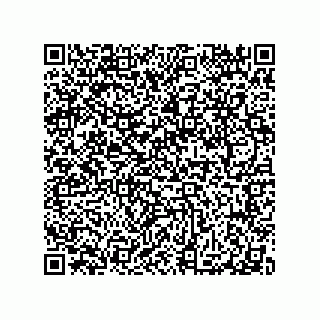 vCard 79065560314