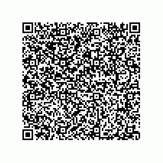 vCard 79065560331
