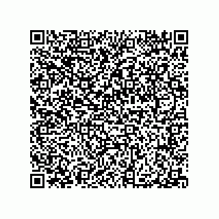 vCard 79065560381