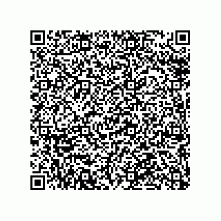 vCard 79065560382