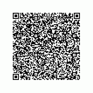 vCard 79065560384