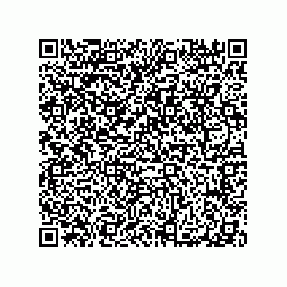 vCard 79065560388