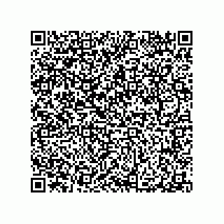 vCard 79065560389