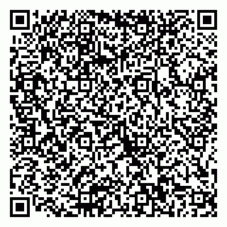 vCard 79066000537