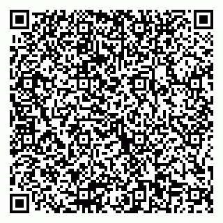 vCard 79066000539