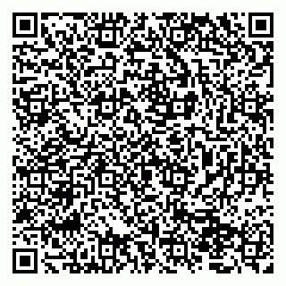 vCard 79066890239