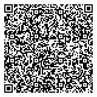 vCard 79066890272