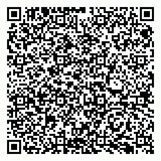 vCard 79066890273