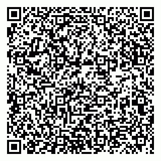 vCard 79066890308
