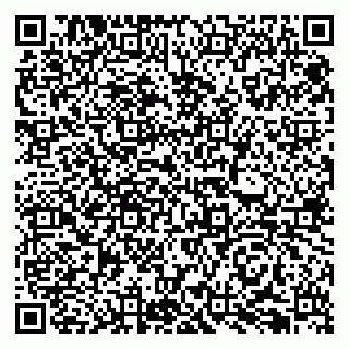 vCard 79066890331
