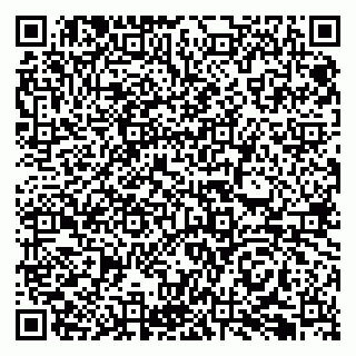vCard 79066890353