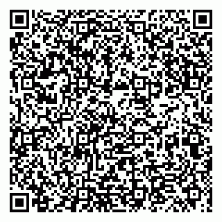 vCard 79066890378